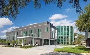 Mental Performance Coaching Dallas