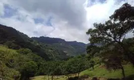 Massive Mountain Estate for sale. Salitral Santa A