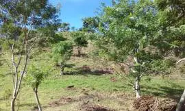 Massive Mountain Estate for sale. Salitral Santa A