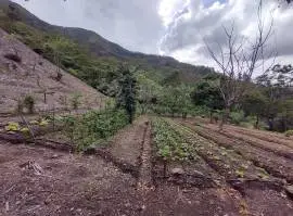 Massive Mountain Estate for sale. Salitral Santa A