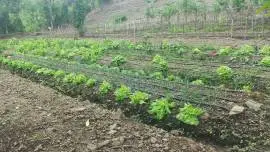 Massive Mountain Estate for sale. Salitral Santa A