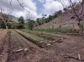 Massive Mountain Estate for sale. Salitral Santa A