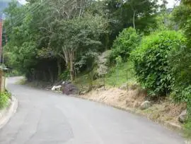 Salitral Santa Ana Costa Rica land estate sale.