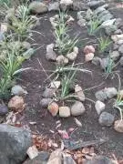 Salitral Santa Ana Costa Rica land estate sale.