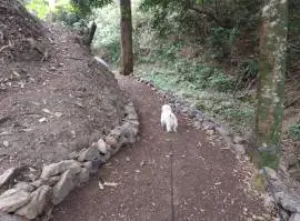 Salitral Santa Ana Costa Rica land estate sale.