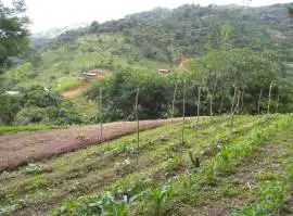 Salitral Santa Ana Costa Rica land estate sale.