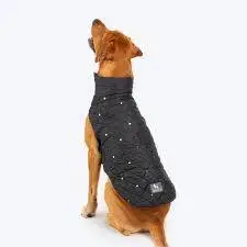 Salt Free Dog Treats