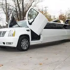 Rent Limousine For Birthday Party Philadelphia, Pa