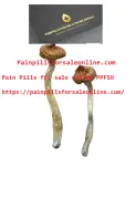 Buy Escondido Magic Mushrooms – Painpillsforsaleon